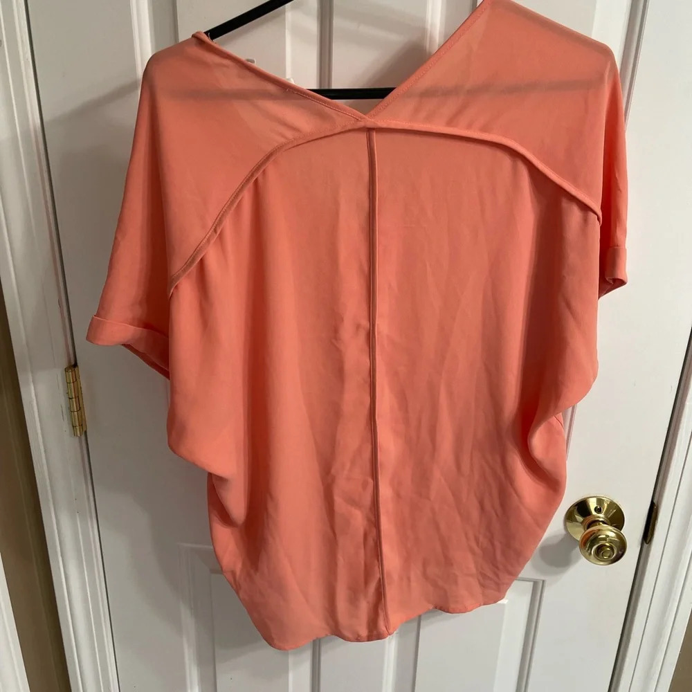 Lush Top from Francesca’s - Picture 2 of 4